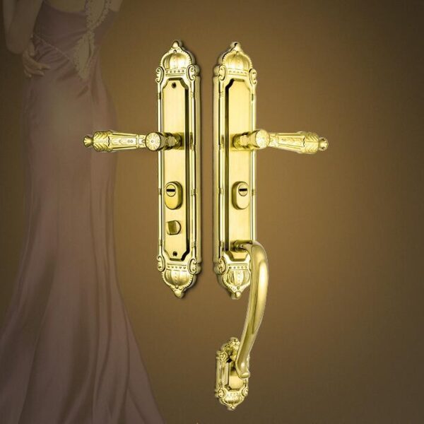 Anti-theft door lock