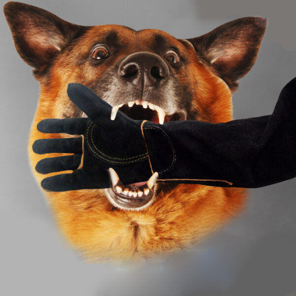 Lengthened And Thickened Pet Protective Gloves